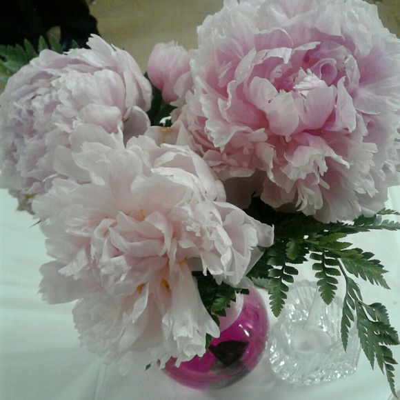 Hi Poshers, I'm Rachael! - Picture 5 of 5